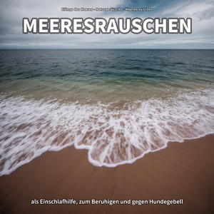 Meeresrauschen, Pt. 27