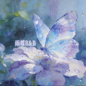雨蝶  男声R&B微醺