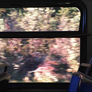 愿 化 茧 成 蝶（Prod.by P$YCHO）