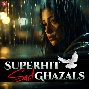 Bewafa Hai Sanam