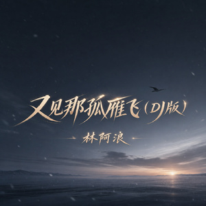 又见那孤雁飞(DJ版)