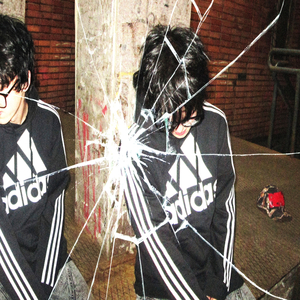 ты любишь гладить котят