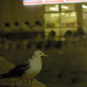 黄色い線の向こう側 (Remix)