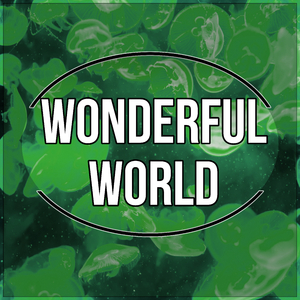 Wonderful World
