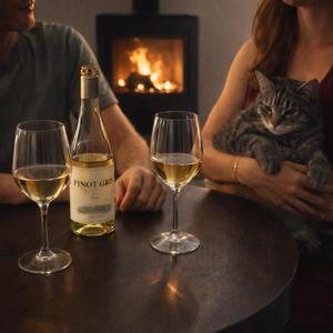 Fleetwood Mac (remix)