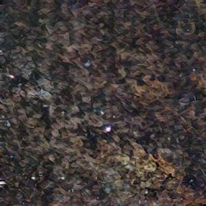 New Voices Of Freedom