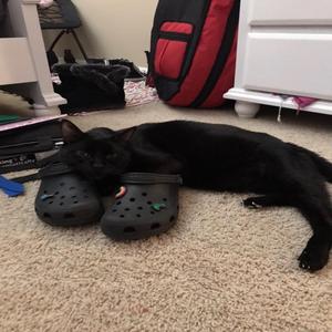 chronically online ***** (feat. cthrurio)