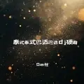 泰式泰式巴适巴适dj硬曲