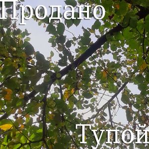 тупой: sped up
