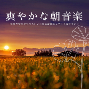 キャンプ朝目覚め霧風景音楽