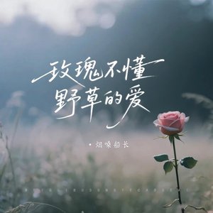 玫瑰不懂野草的爱