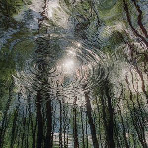 小猫咪的山/童声