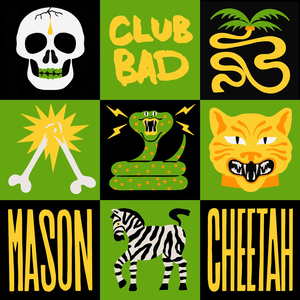 Cheetah