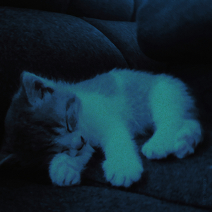 sleepykitty (slowed)