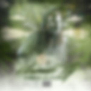 Back Down (feat. Spitta)