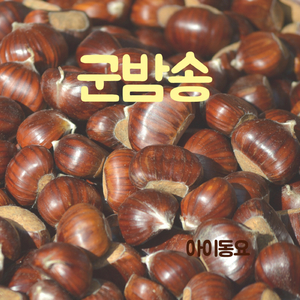 군밤송