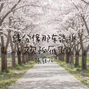 缘分像那东流水（又见孤雁飞）