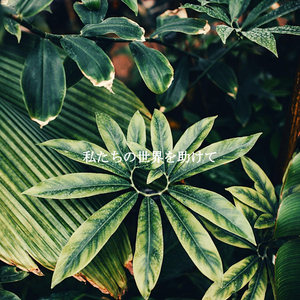 Quartet Jazz Soundtrack for Chilled Nights