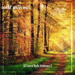 3D Forest Walk Ambience, Pt. 11