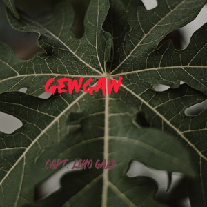 Gewgaw