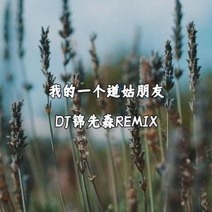 我的一个道姑朋友（DJ锦先森 Remix）