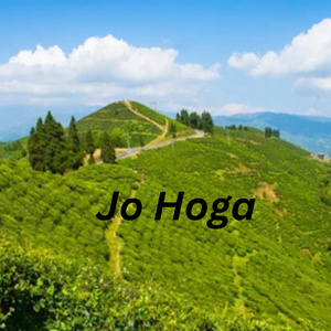 Jo Hoga