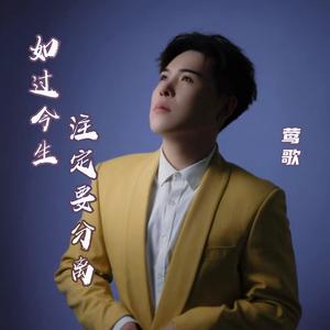 来世别再让我遇见你