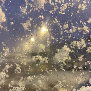 天使 (Acoustic Ver.)