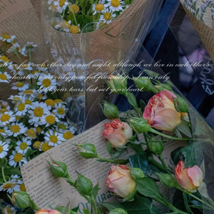 哪里都是你2.0(cover:队长）