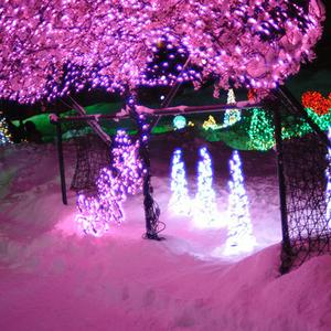 i’d like to congratulate myself on being so ironic that i forget what real life feels like