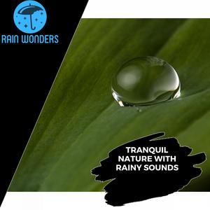 Sand Castles and Beach Waves