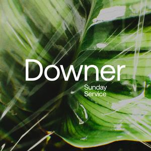Downer