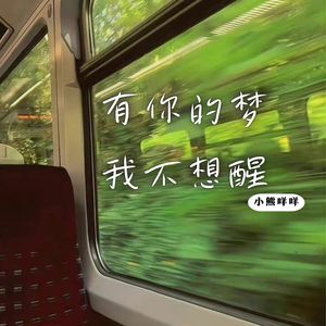 有你的梦我不想醒