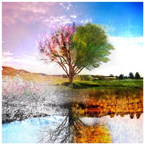 Ambazonians Be Patient with God