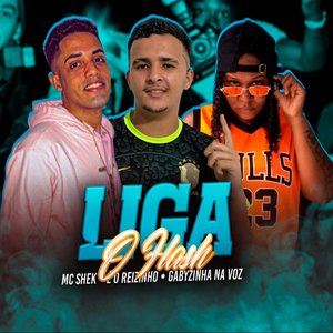 Liga o Flash