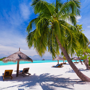 Summer （大合集）