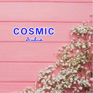 COSMIC