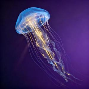 我是Al却动了真心