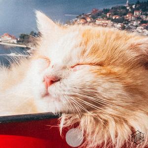 희미한 흔적 (Vocal By Anna)