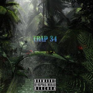 Trap 34