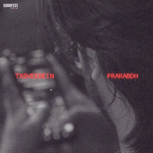 Tasveerein