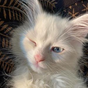 跨界融合 Type Beat