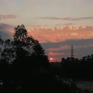 假装- cover陈雪凝