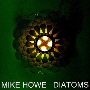 Diatoms