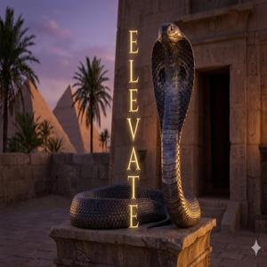 Elevate