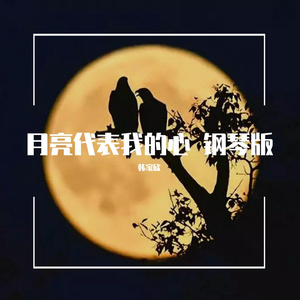 月亮代表我的心 钢琴版（翻自 邓丽君）