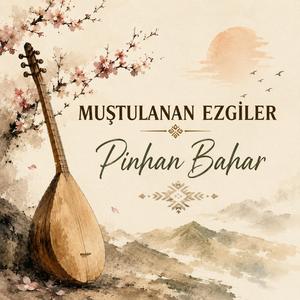 Pinhan Bahar