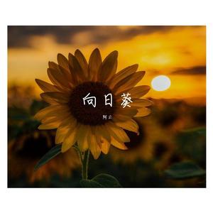 向日葵