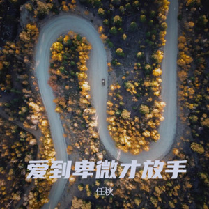 爱到卑微才放手