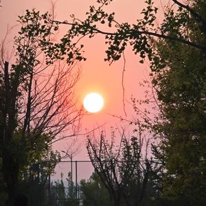 暂停（prod by pvki）